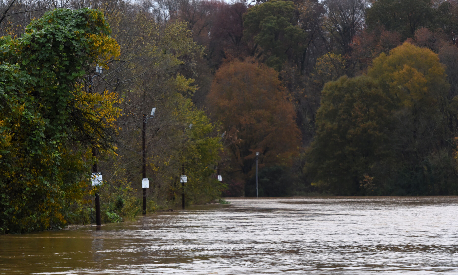 Flooding
